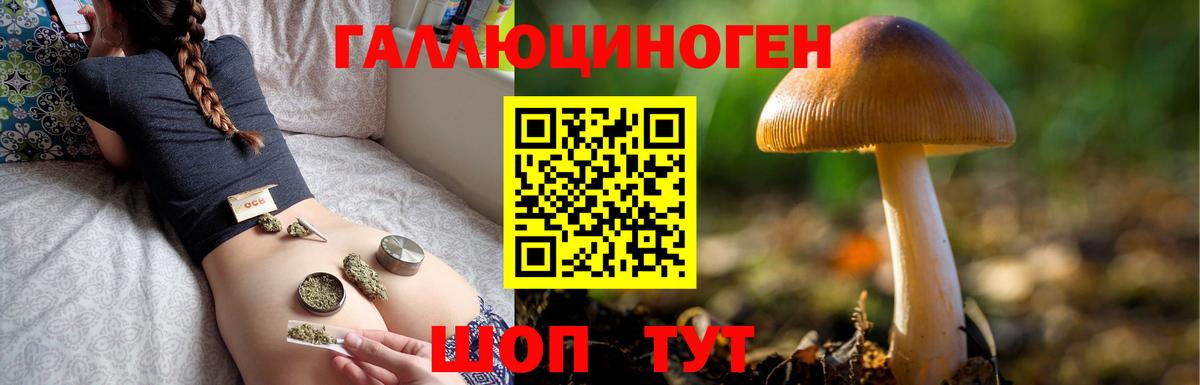 Кирово-Чепецк  Псилоцибиновые грибы мухоморы  Вход с VPN 